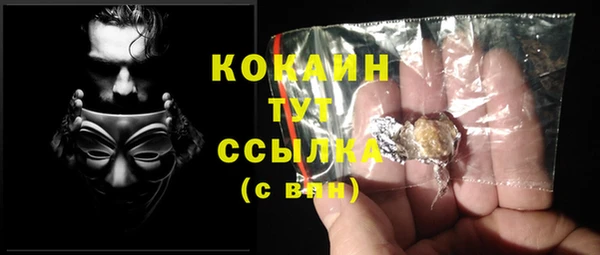 COCAINE Богородицк